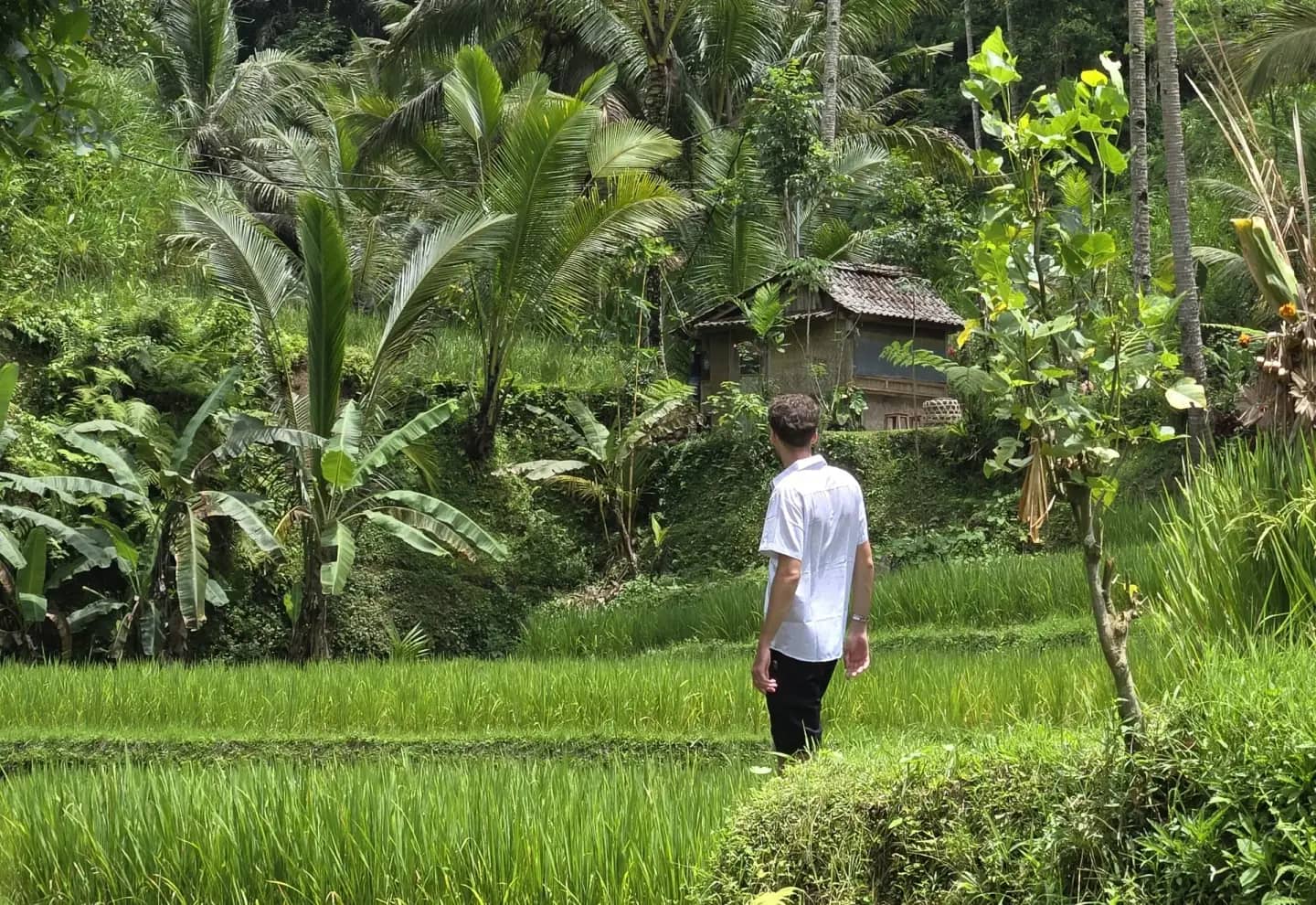 Ubud
